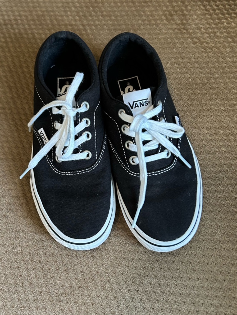 Vans Black Canvas Low-Top Sneakers with White Accents